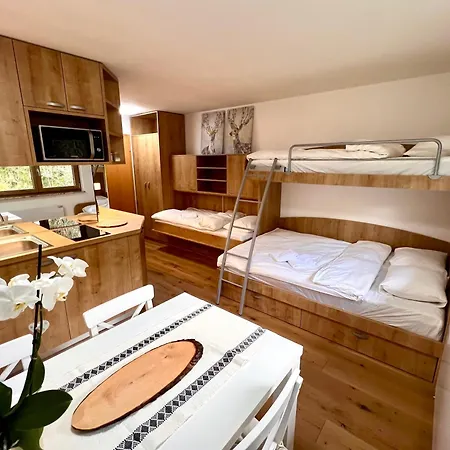 Sunflower Kranjska Gora